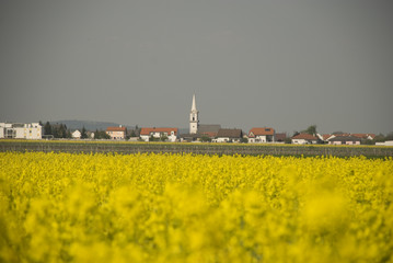 jois - burgenland