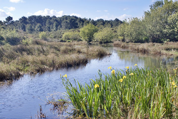 Laguna de Carreirón