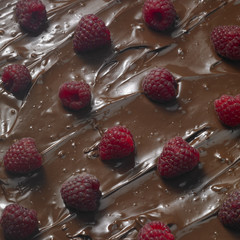 raspberries with chocolate
