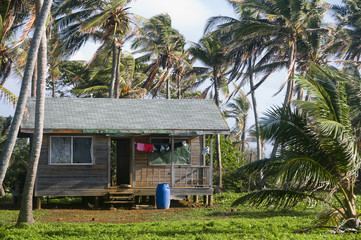 cabana house with palm trees nicaragua
