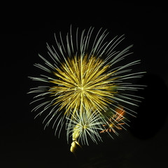 Fototapeta premium Fireworks display