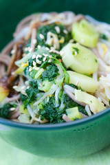 Japanischer Spinat Lauch Salat