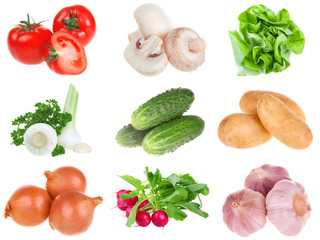Fresh vegetables