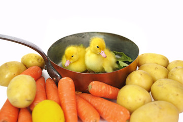 recette culinaire au canards