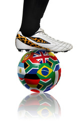 South Africa world cup