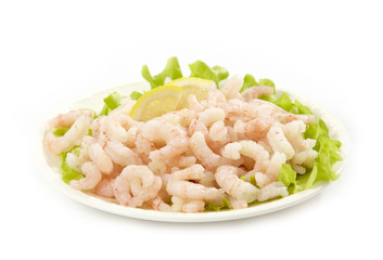 fresh raw prawns