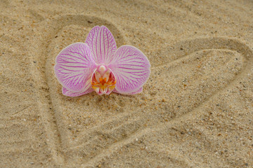 Fototapeta na wymiar Herz mit Orchidee auf Sand