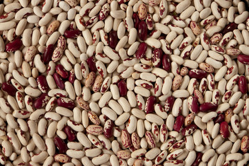 haricot beans