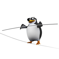 3d Tightrope penguin