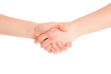 Hands handshake