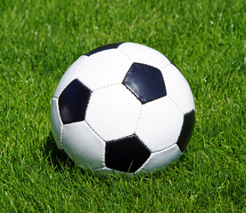 Fototapeta premium Fußball mit grünem Rasen auf Fussballplatz
