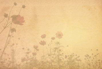 old flower paper textures