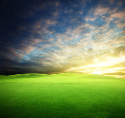 field of grass and perfect sky