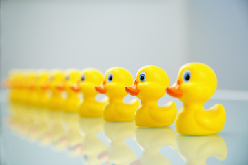 Ducks in a row - 22512870
