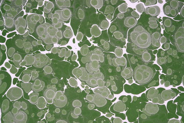 Turkish traditional marbled paper artwork background