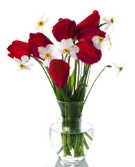 Red tulips and white narcissuses in vase