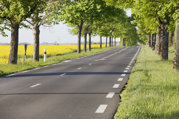 route de campagne