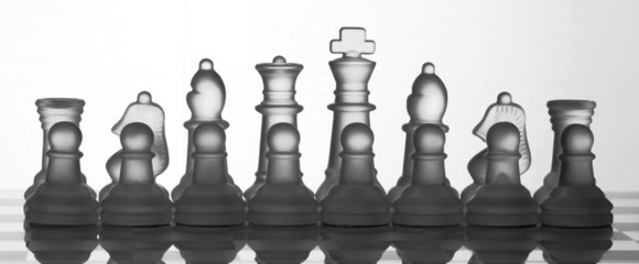 Chess Set Collection: The Best Team