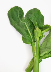 Closeup organic vegetable