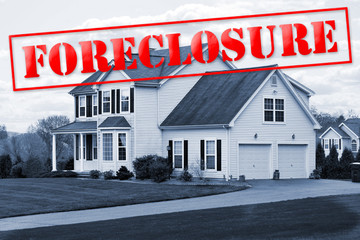Foreclosure House - 22519434