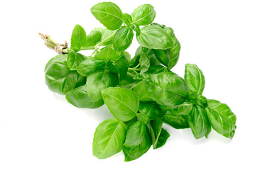 Basil bunch