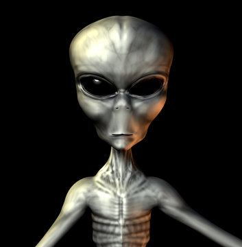 Grey Alien