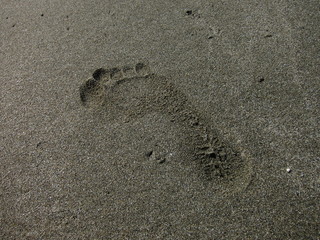 20100506_足跡