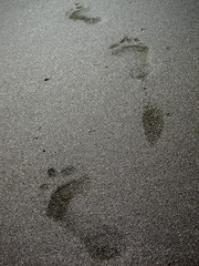 20100506_足跡