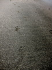 20100506_足跡