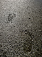 20100506_足跡