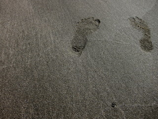 20100506_足跡