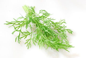Dill