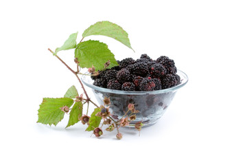 Blackberries