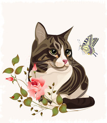 cat and butterfly
