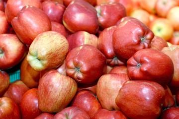 Fresh apples for good diet