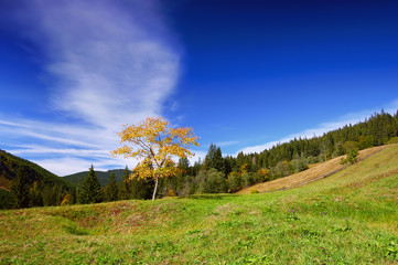 Fototapeta premium Mountain landscape in the end of summer