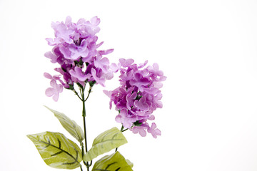 Künstlicher Flieder