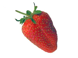 Strawberry isolated