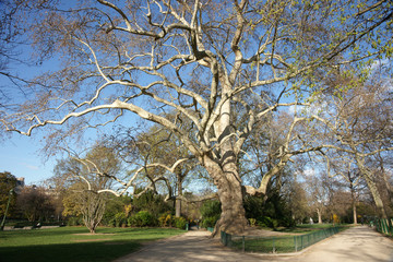Obraz premium Paris monument jardin Monceau 01