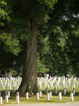 Arlington National Cemetery