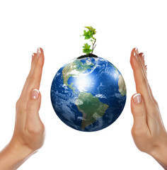 hands, the sprout and  Earth