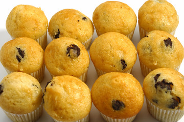 muffins on the white background