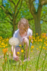 Girl picking wildflowers