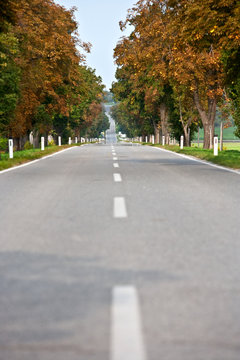 Fototapeta autumnal alley road