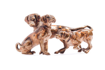 Dogs on a white background