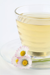 Daisy tea