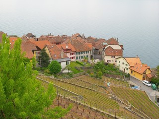 Vignoble suisse