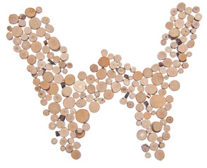 Letter W in Small Tree Stumps