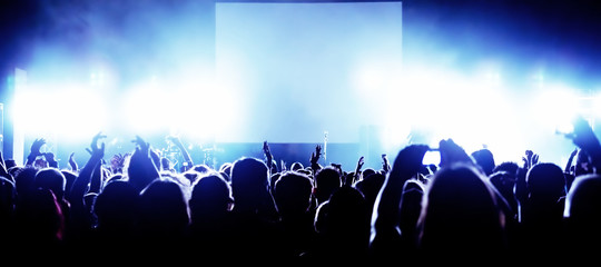 Cheering crowd at concert