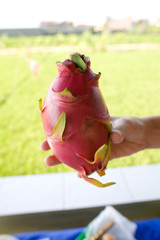 Dragon Fruit